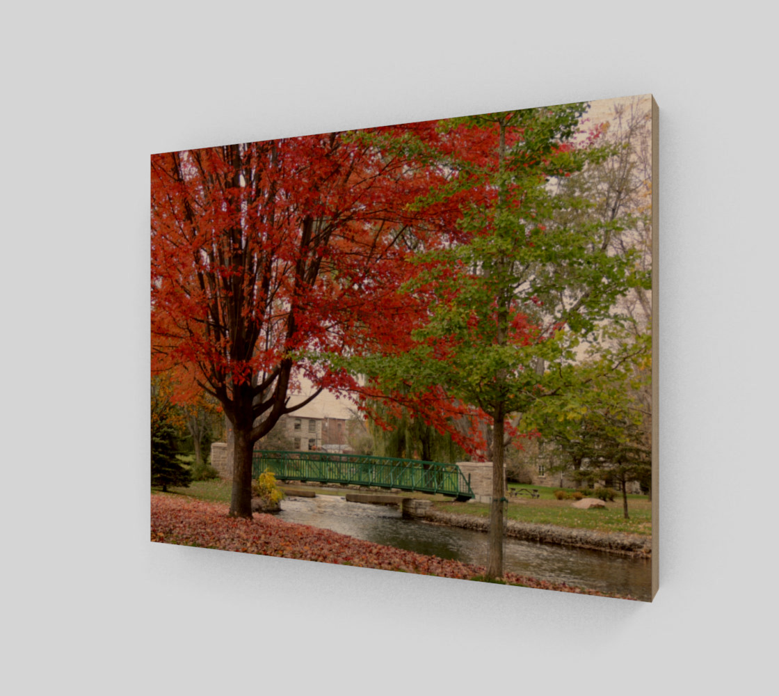Walk In The Park - Perth, ON preview #1