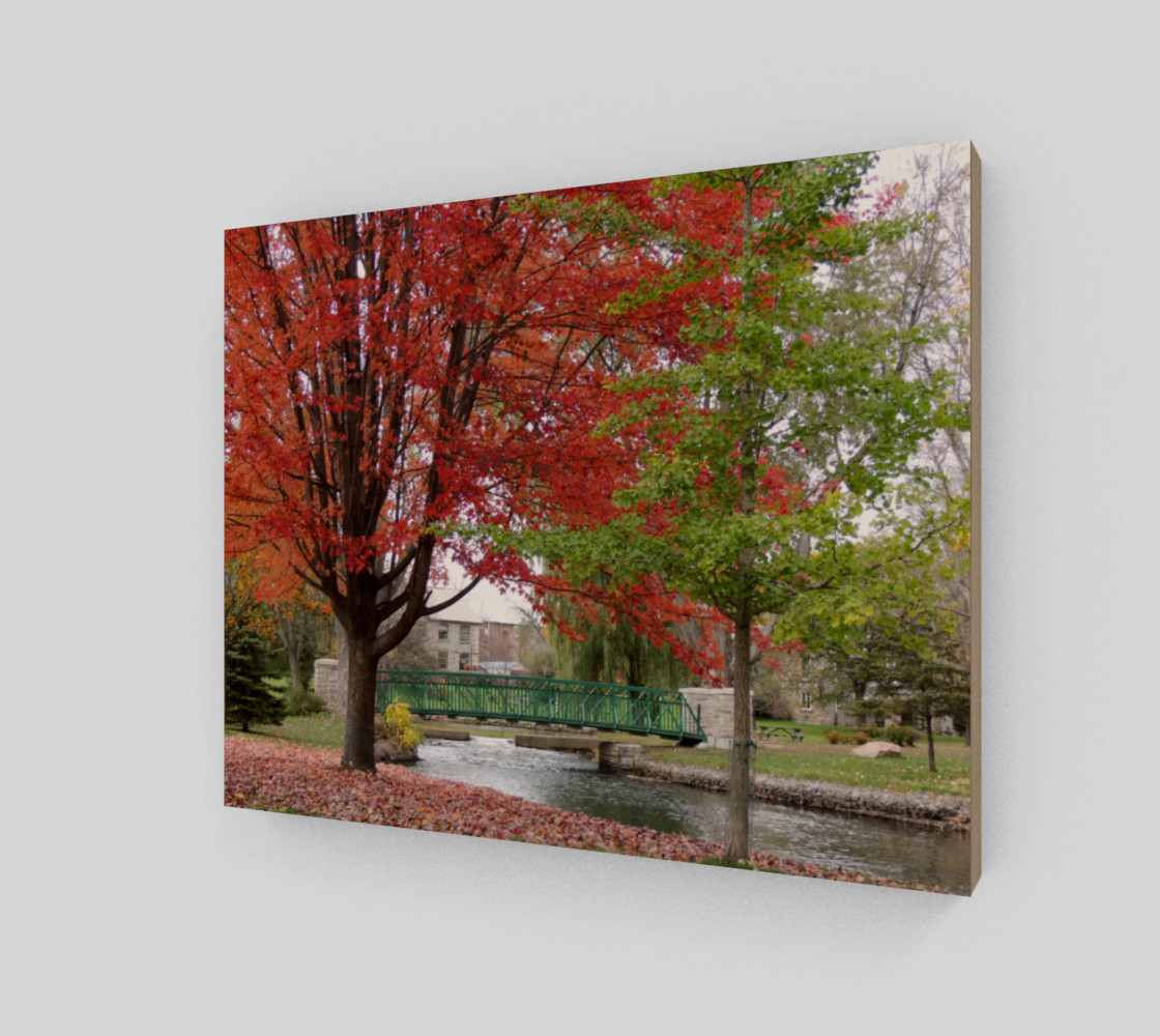Walk In The Park - Perth, ON preview #2