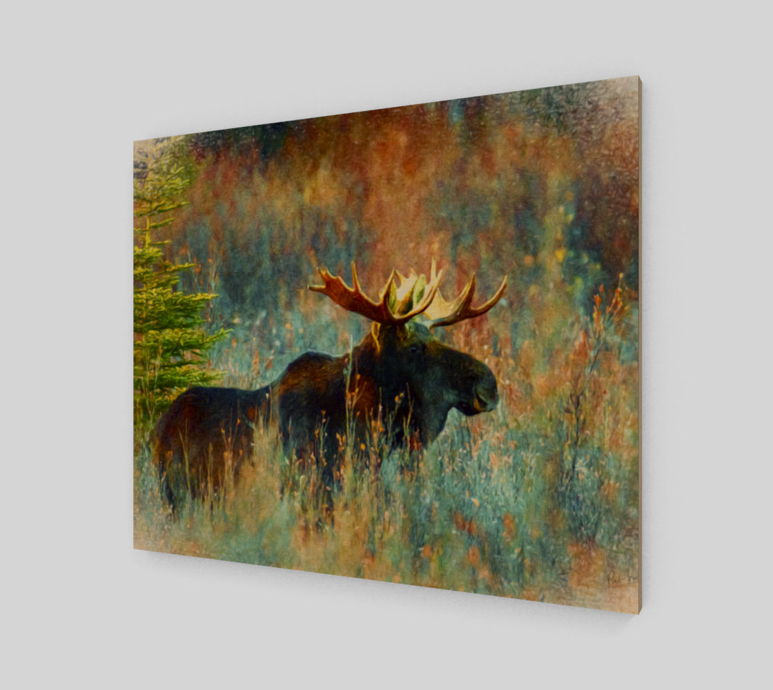 Aperçu de moose canvas #1