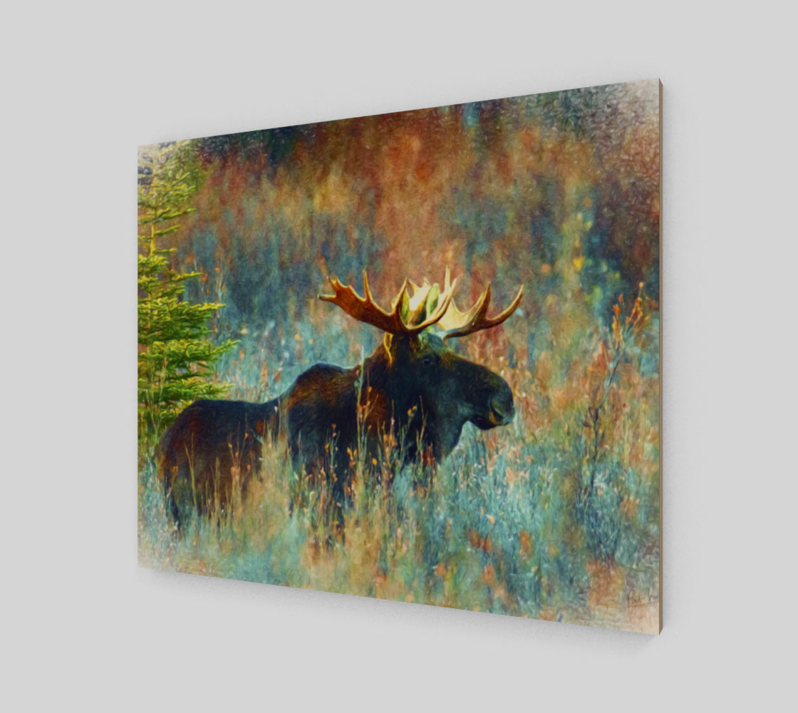 Aperçu de moose canvas #2
