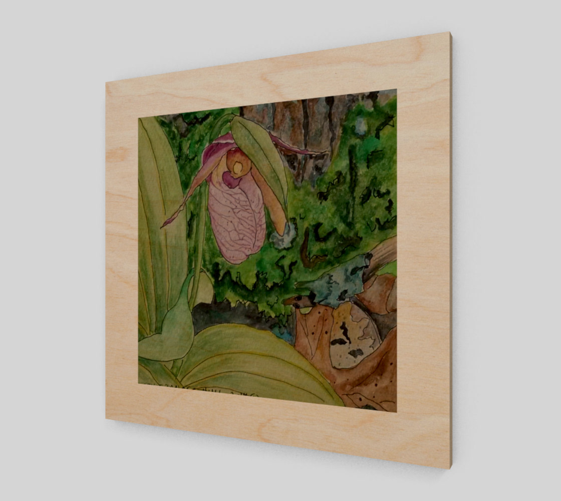 Lady Slipper preview #1
