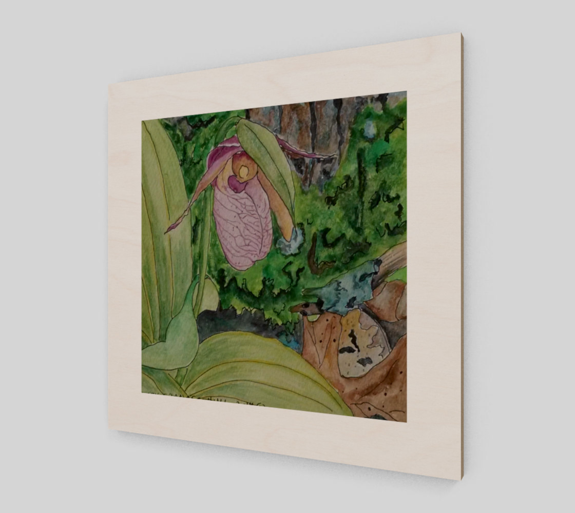 Lady Slipper preview #2