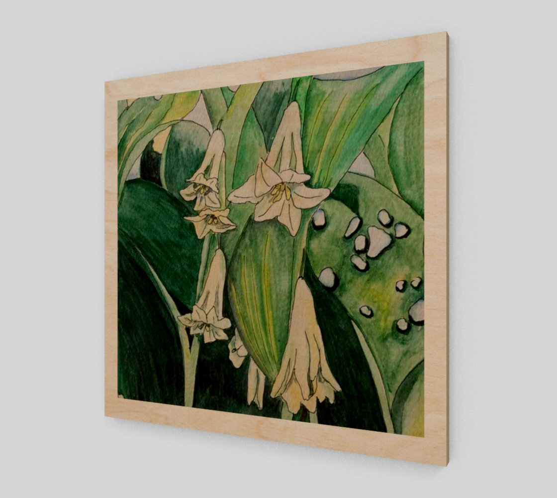 Solomon's Seal preview #1