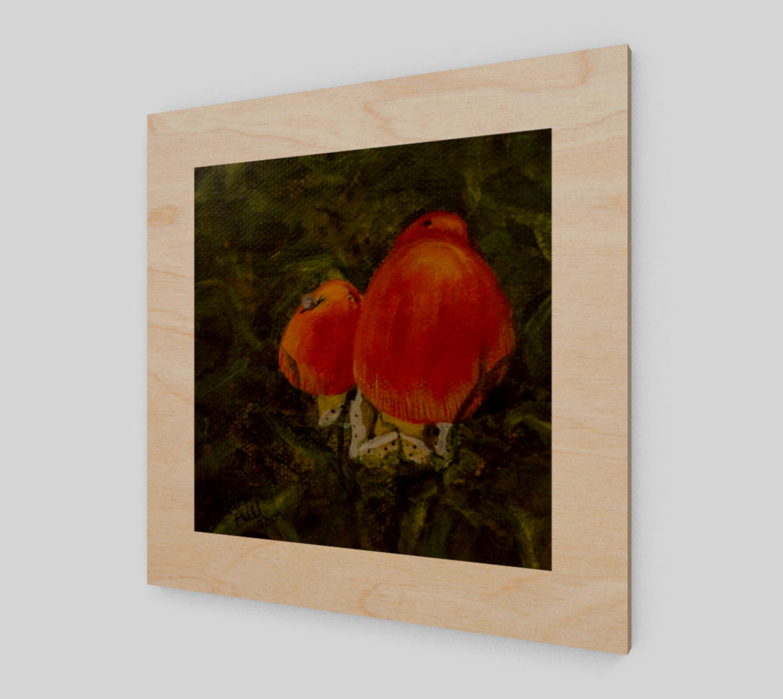 Red Mushrooms preview #1