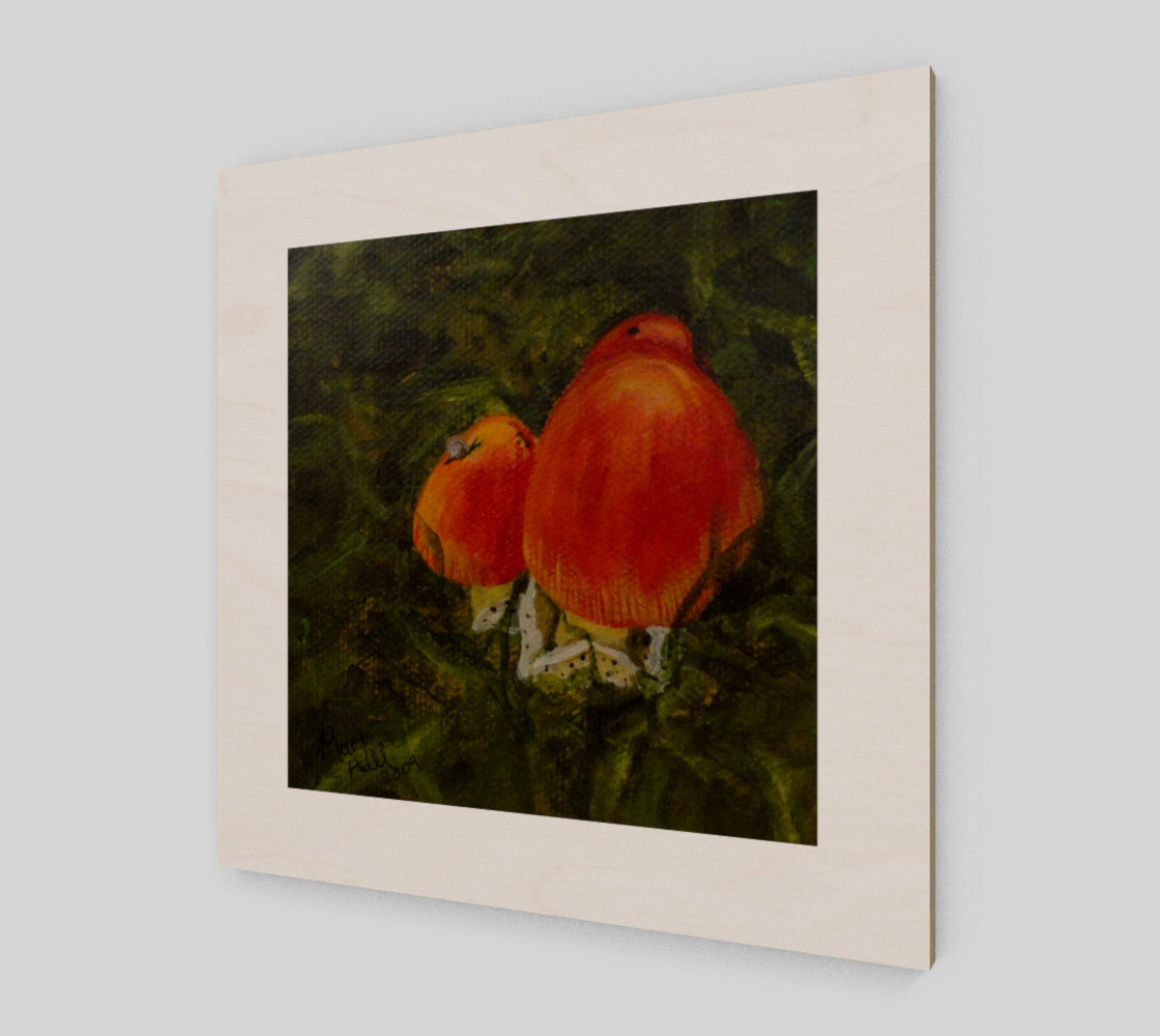 Red Mushrooms preview #2