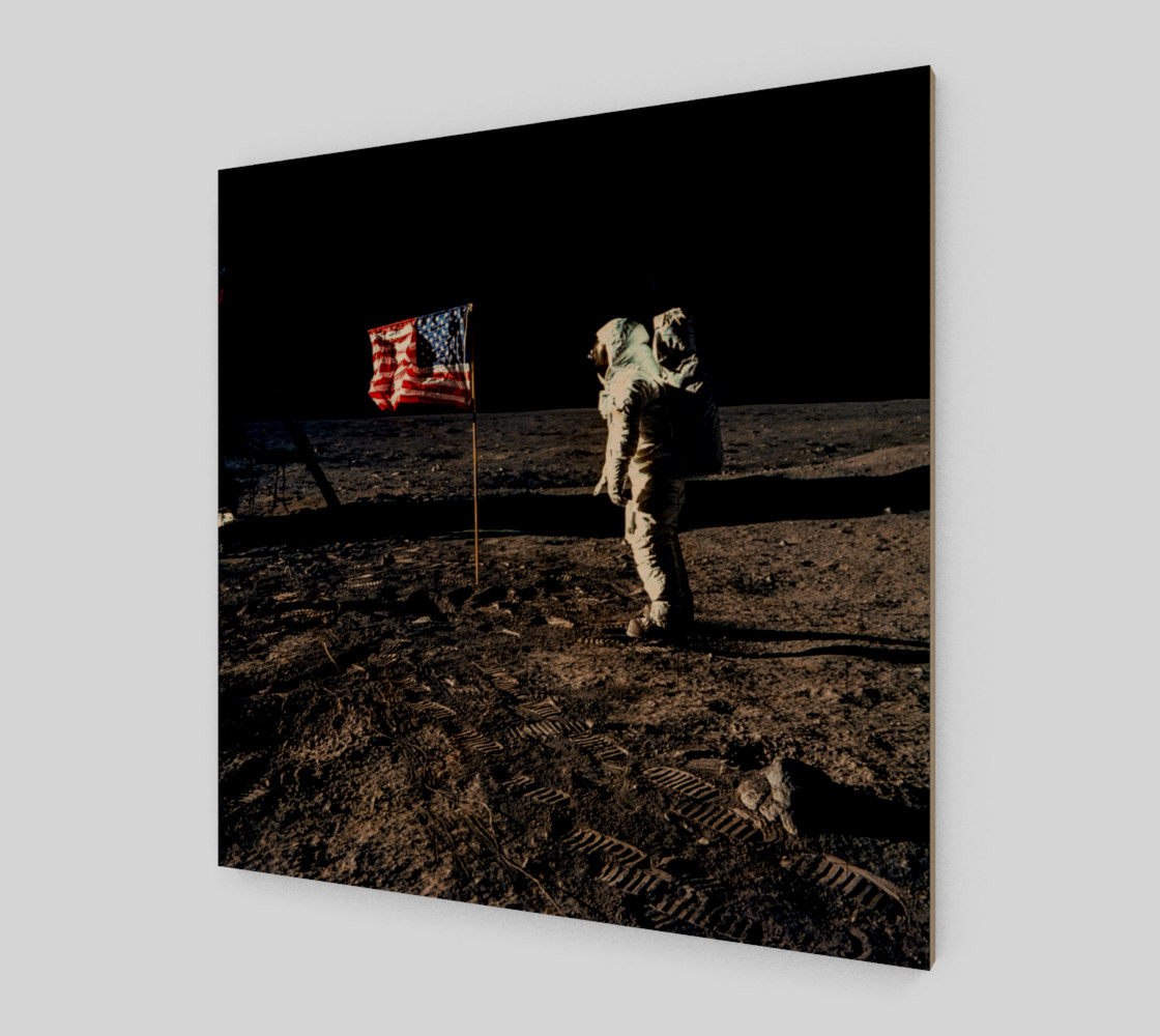 Buzz Aldrin and the U.S. Flag on the Moon preview #1