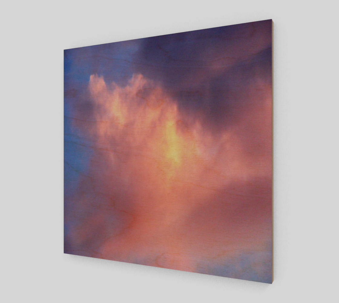 Sky and rose preview #1