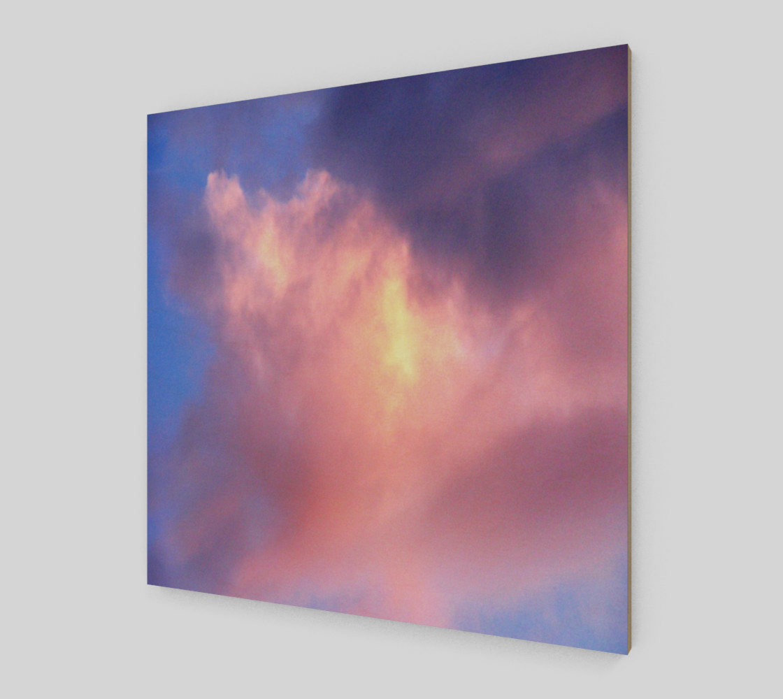 Sky and rose preview #2