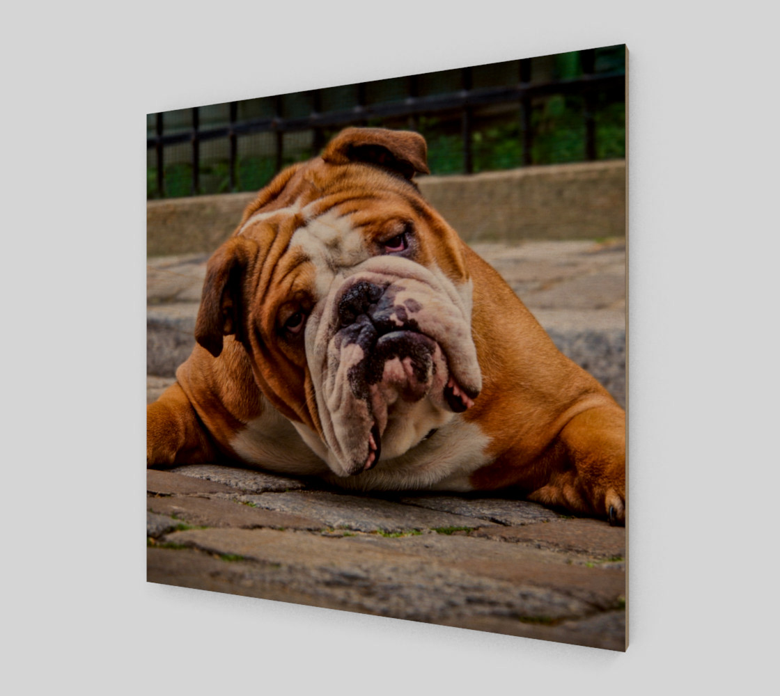 Chien grognon | Grumpy Dog preview #1