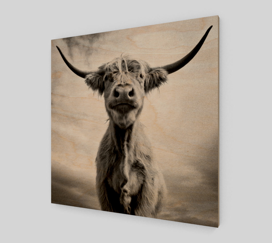Aperçu de Ah, la vache ! / Holy Cow! #1