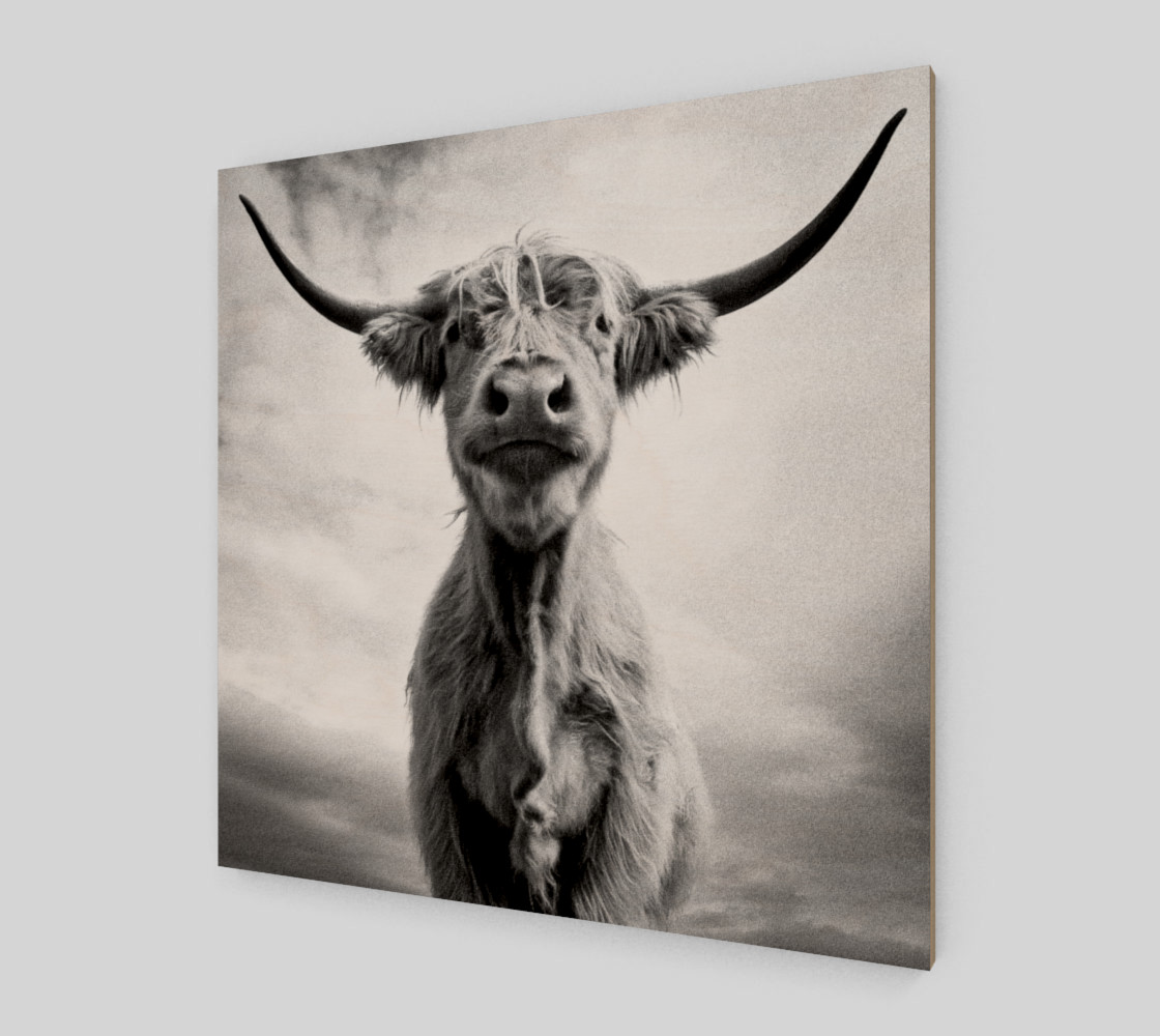 Aperçu de Ah, la vache ! / Holy Cow! #2