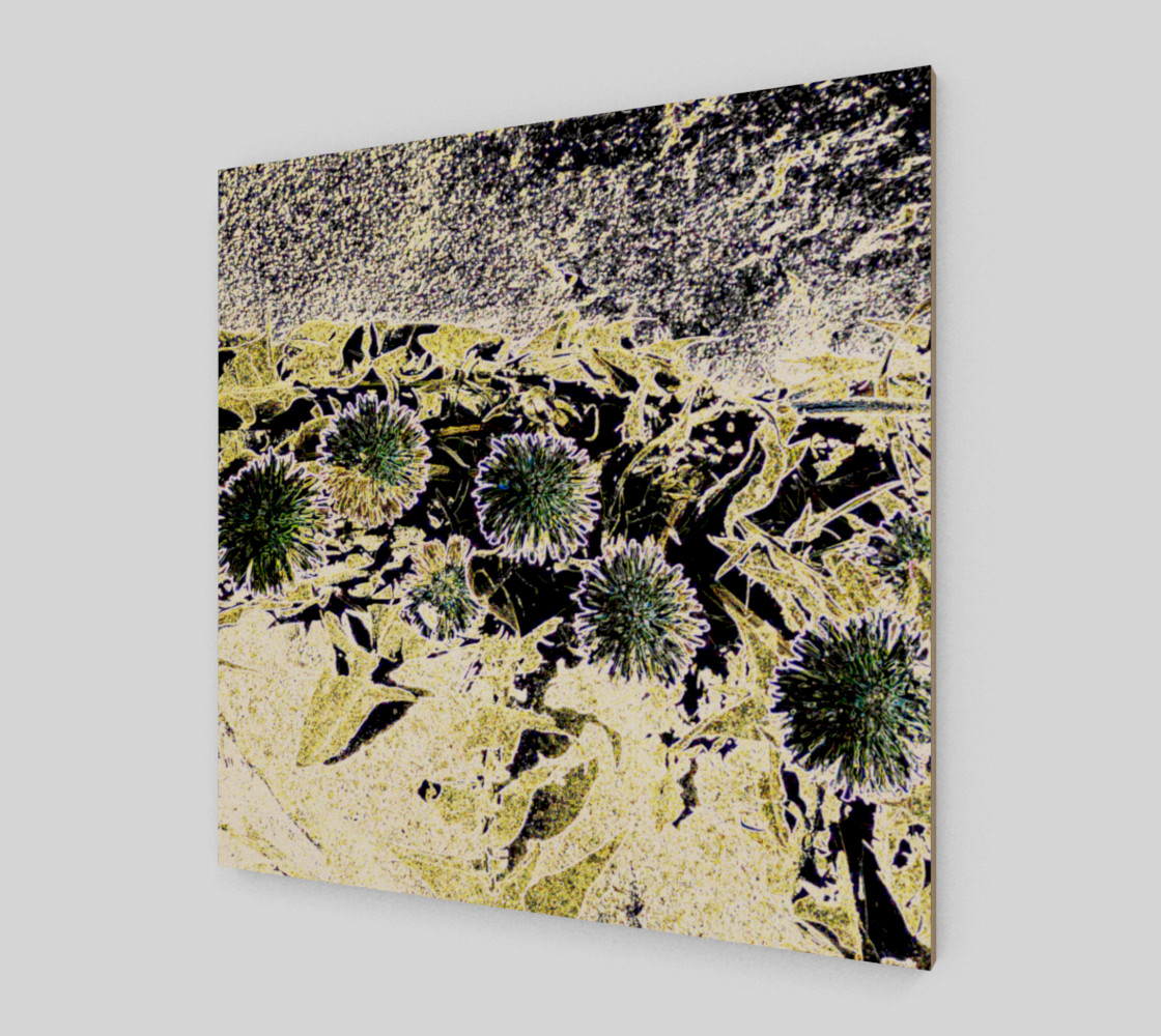 Dandelion Four preview #2