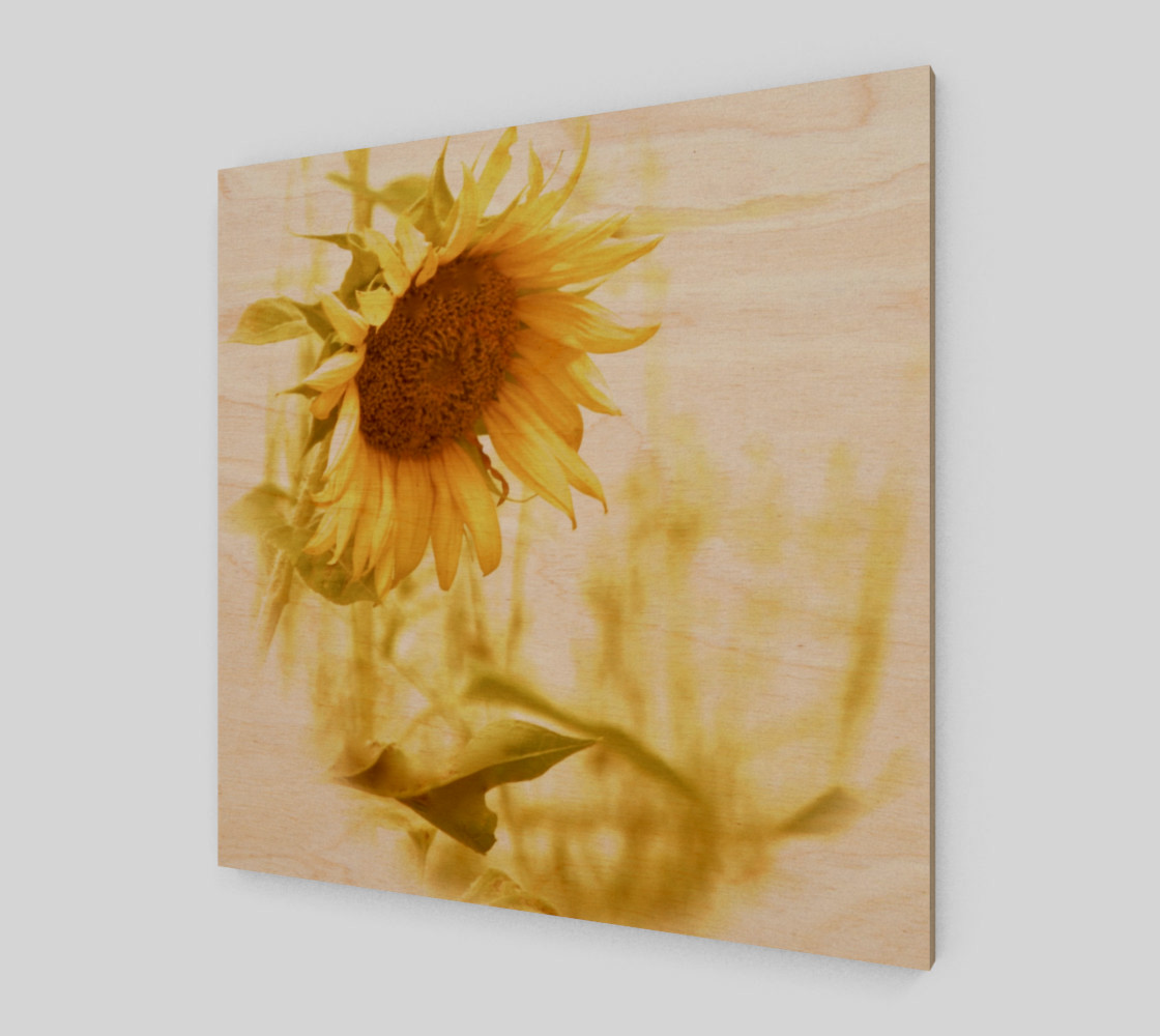 Sunflower in the Light preview #1