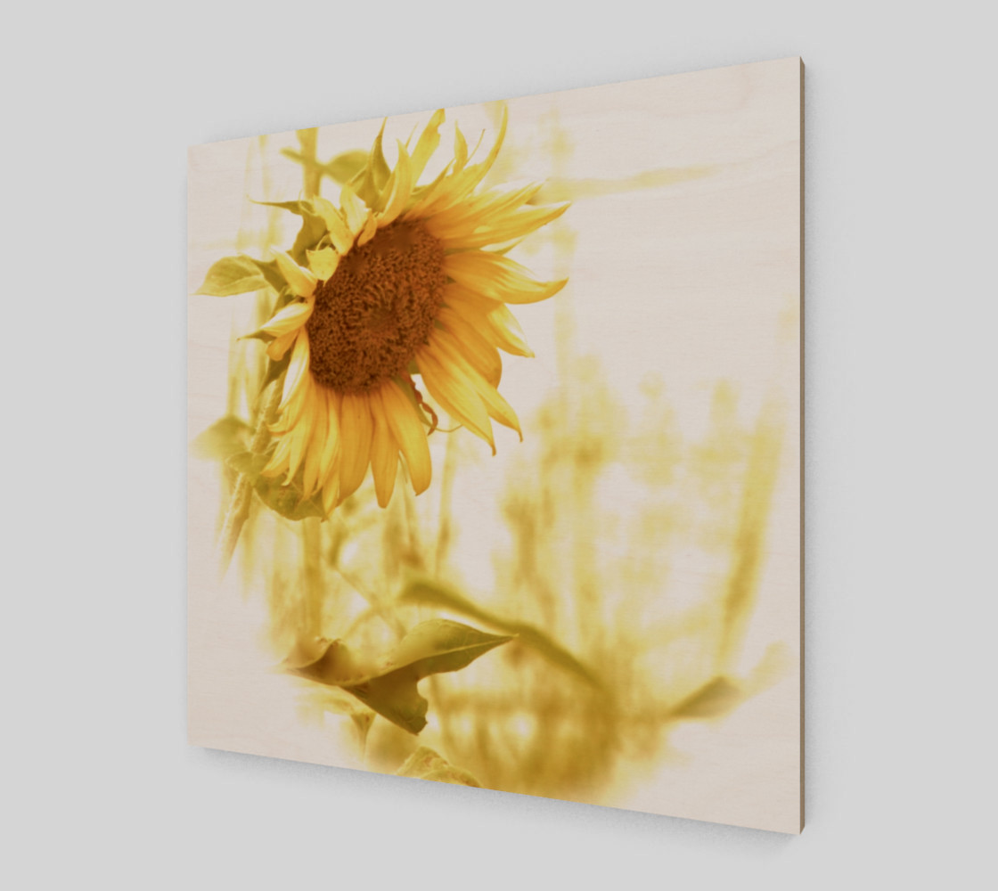 Sunflower in the Light preview #2