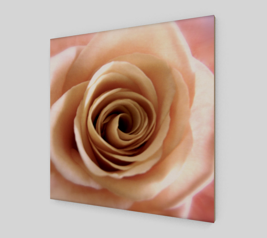 English Rose preview #2