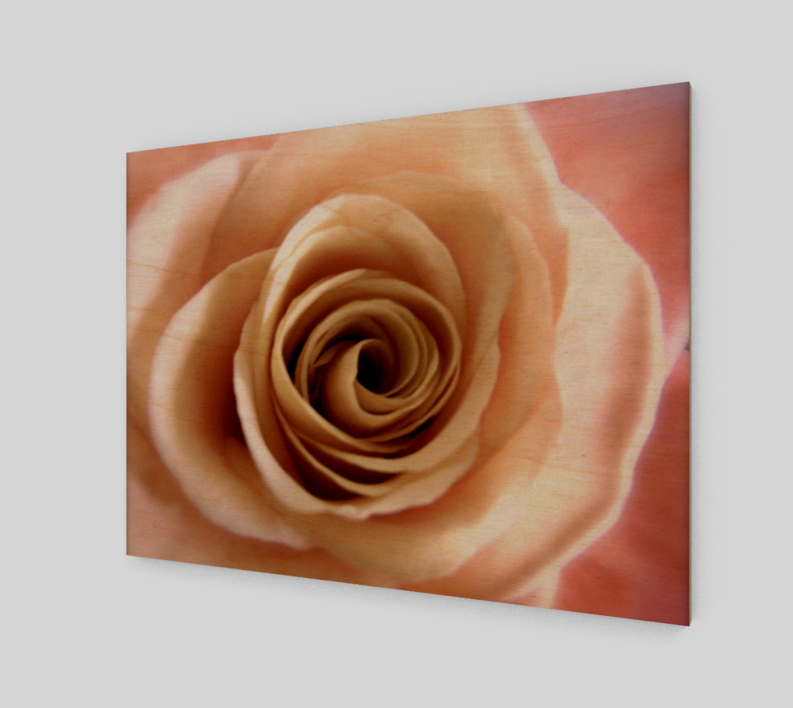 English Rose preview #1