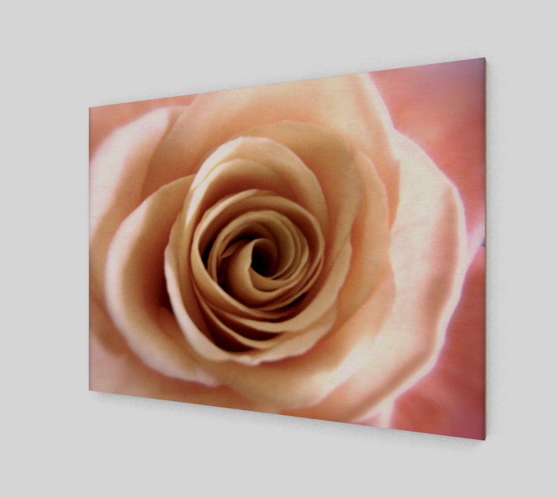 English Rose preview #2