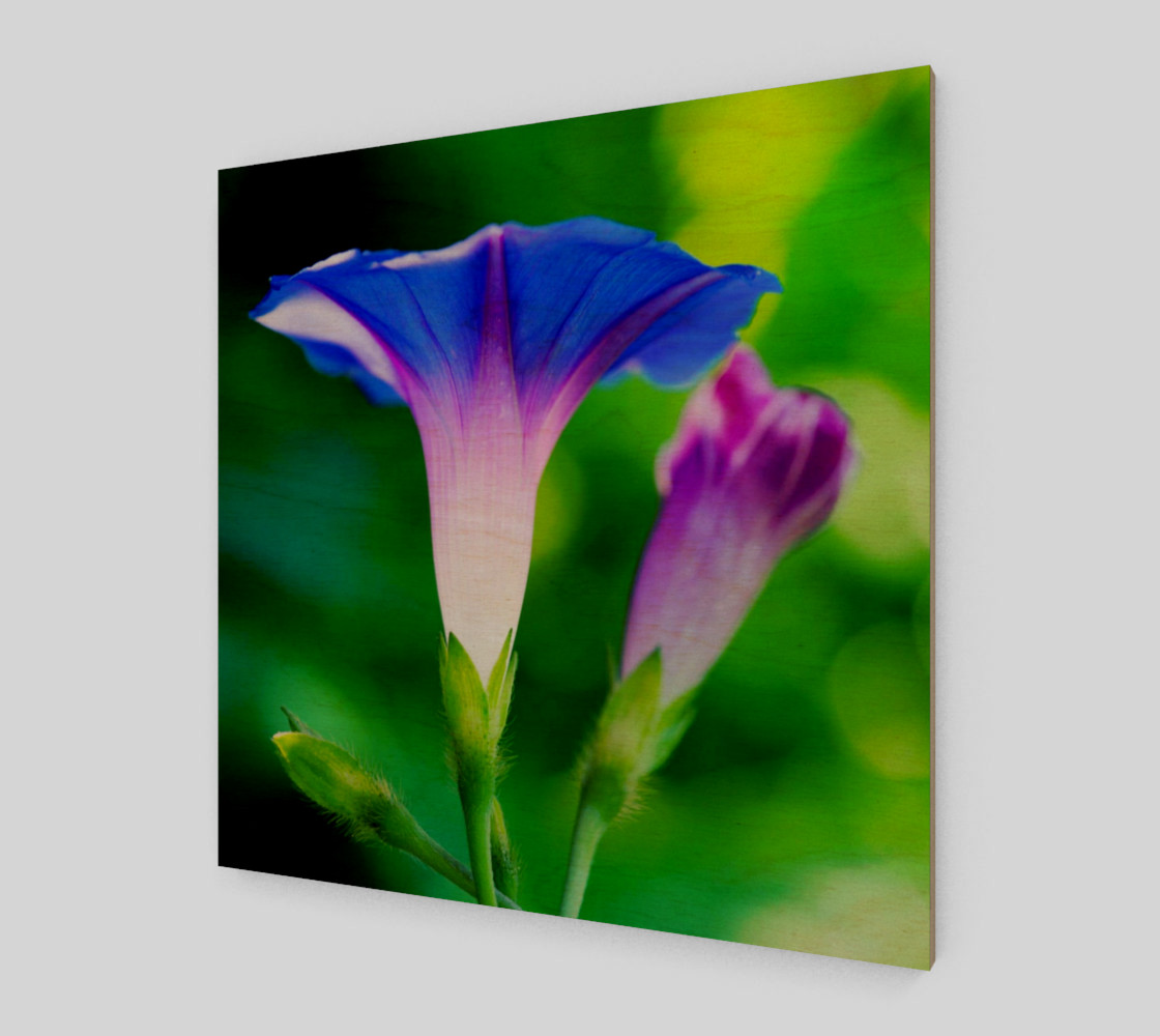 Trumpet Flower preview #1