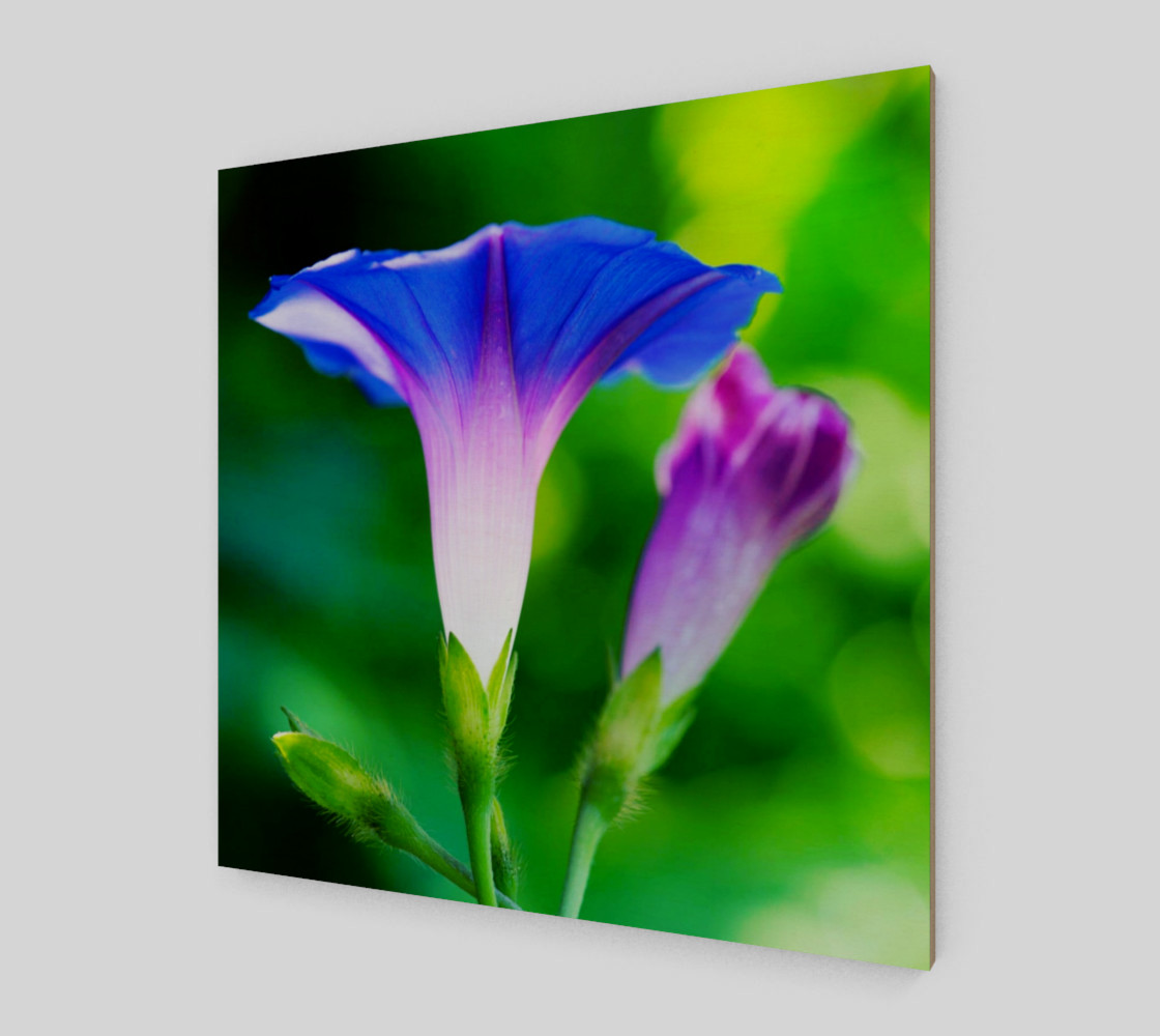 Trumpet Flower preview #2