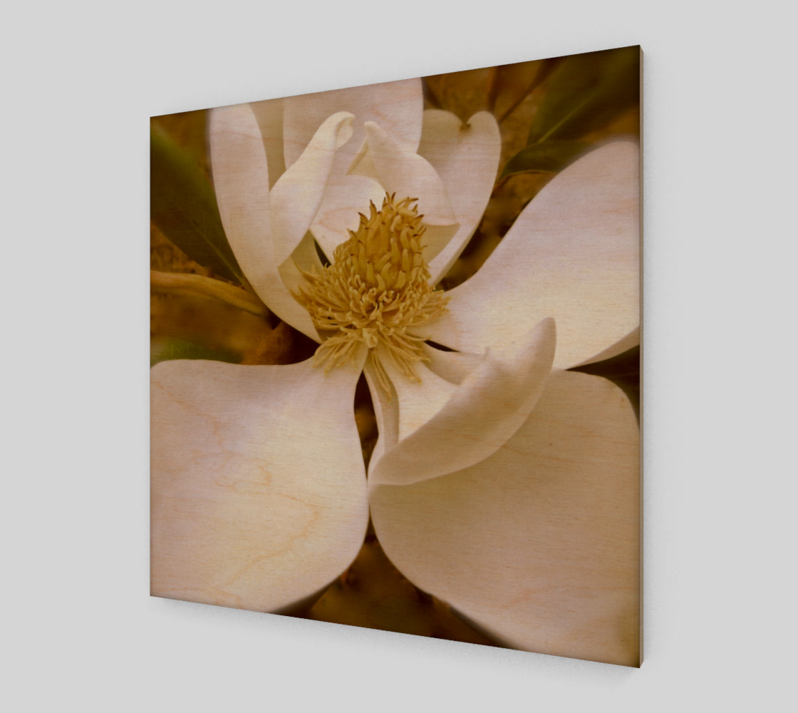 Aperçu 3D de Angelic Magnolia