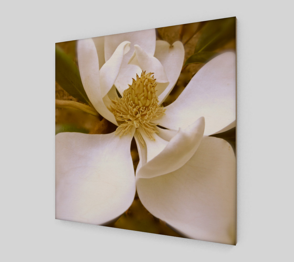 Aperçu de Angelic Magnolia #2