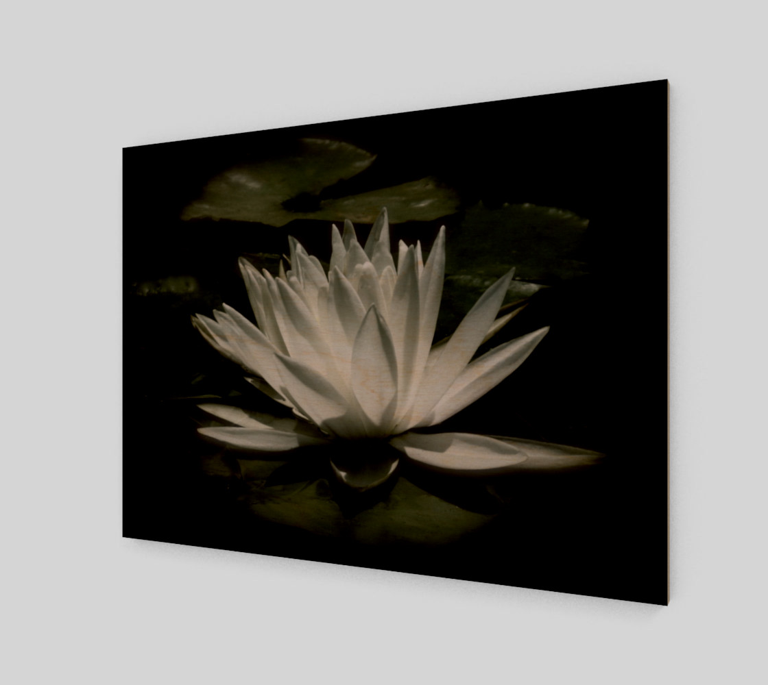 Water Lily By Moonlight 3D preview
