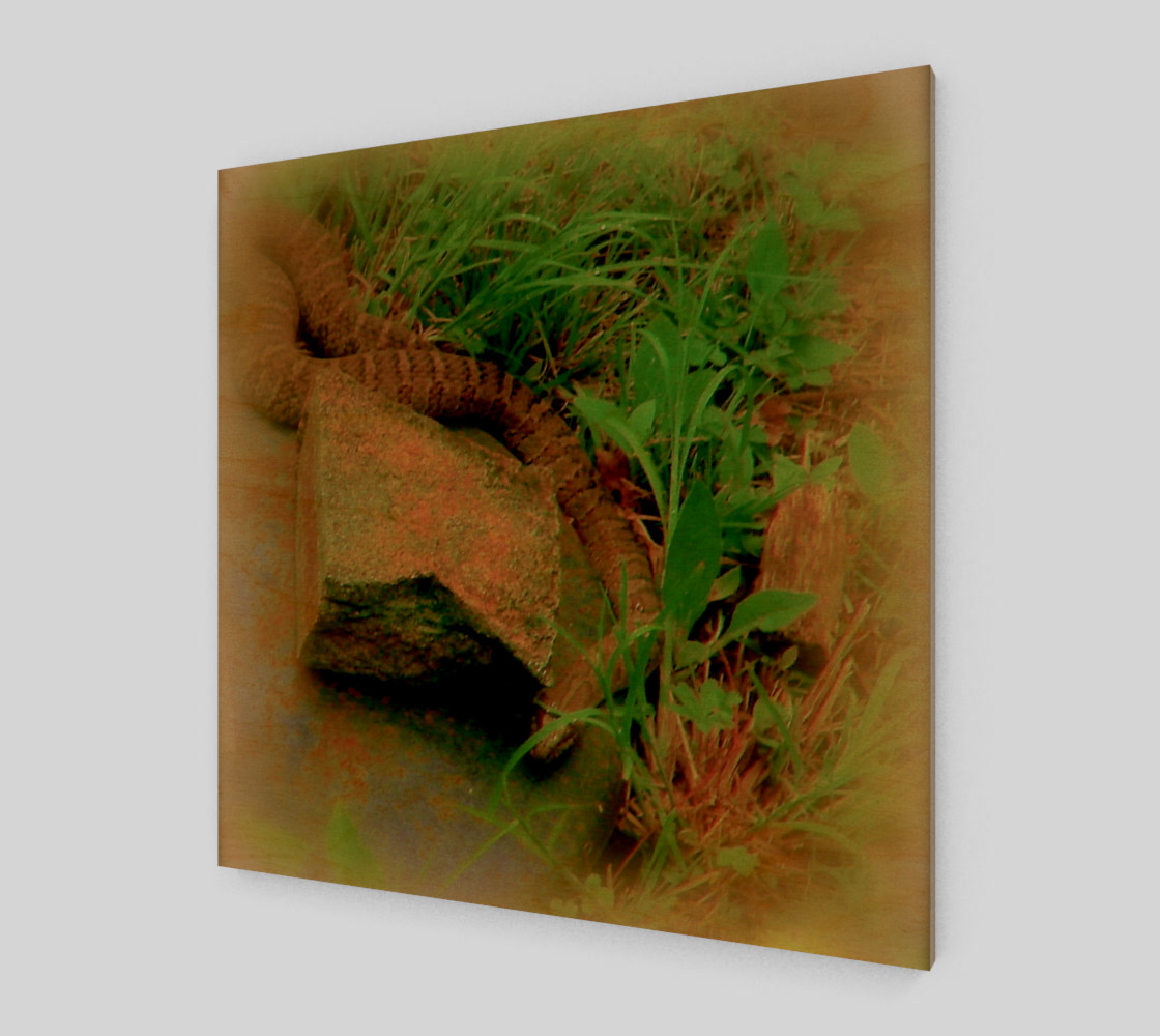 Hiding preview #1