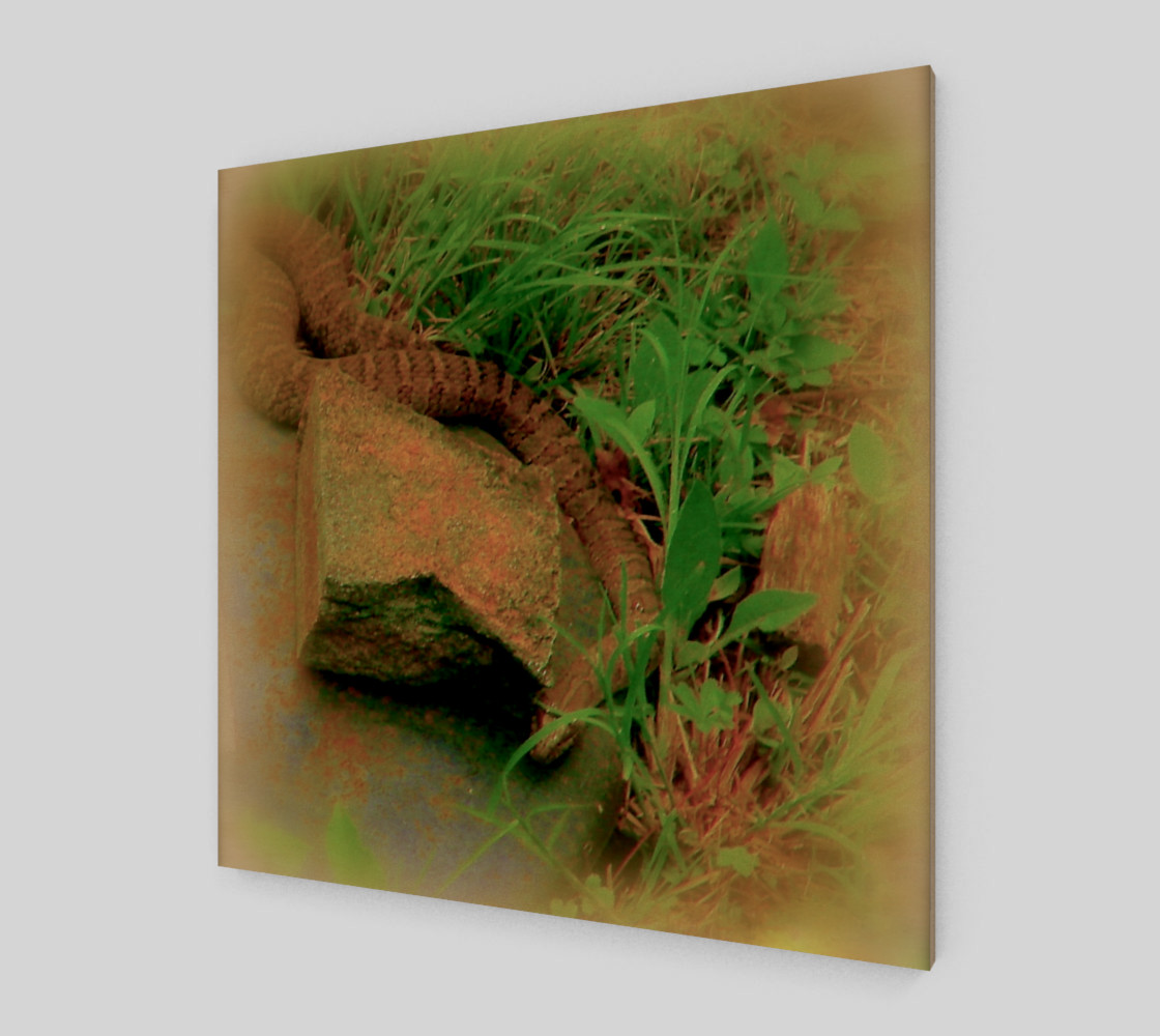 Hiding preview #2