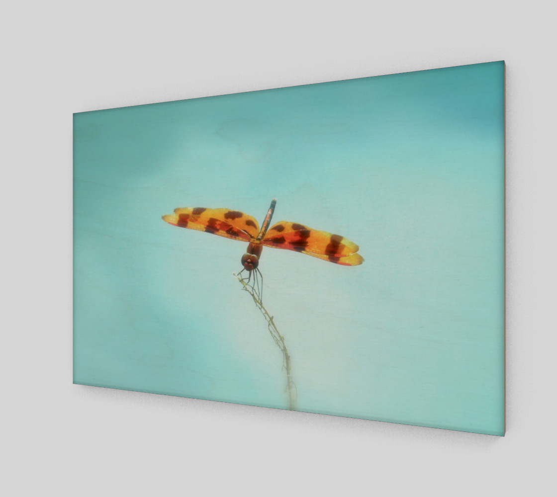 Aperçu de Tiger Dragonfly #2