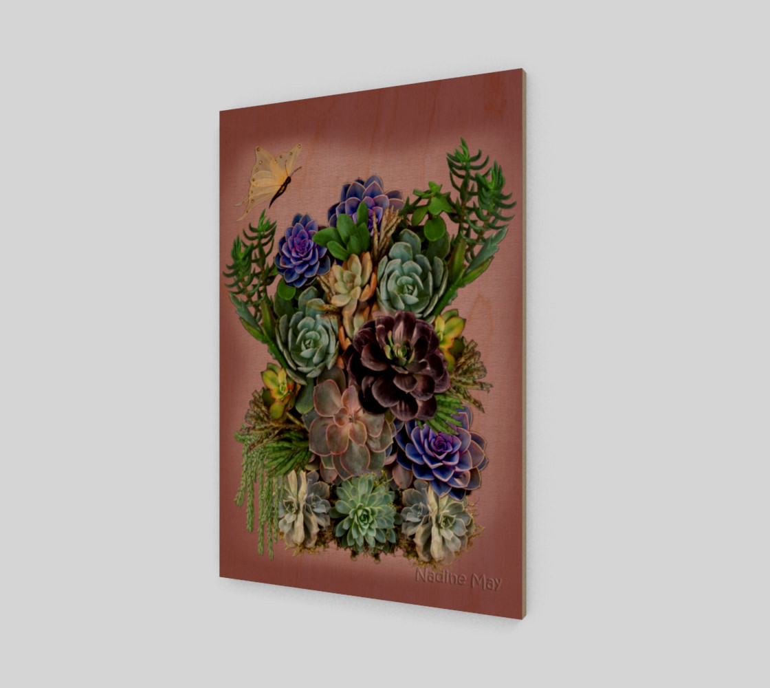 Aperçu de Succulents from my garden #1