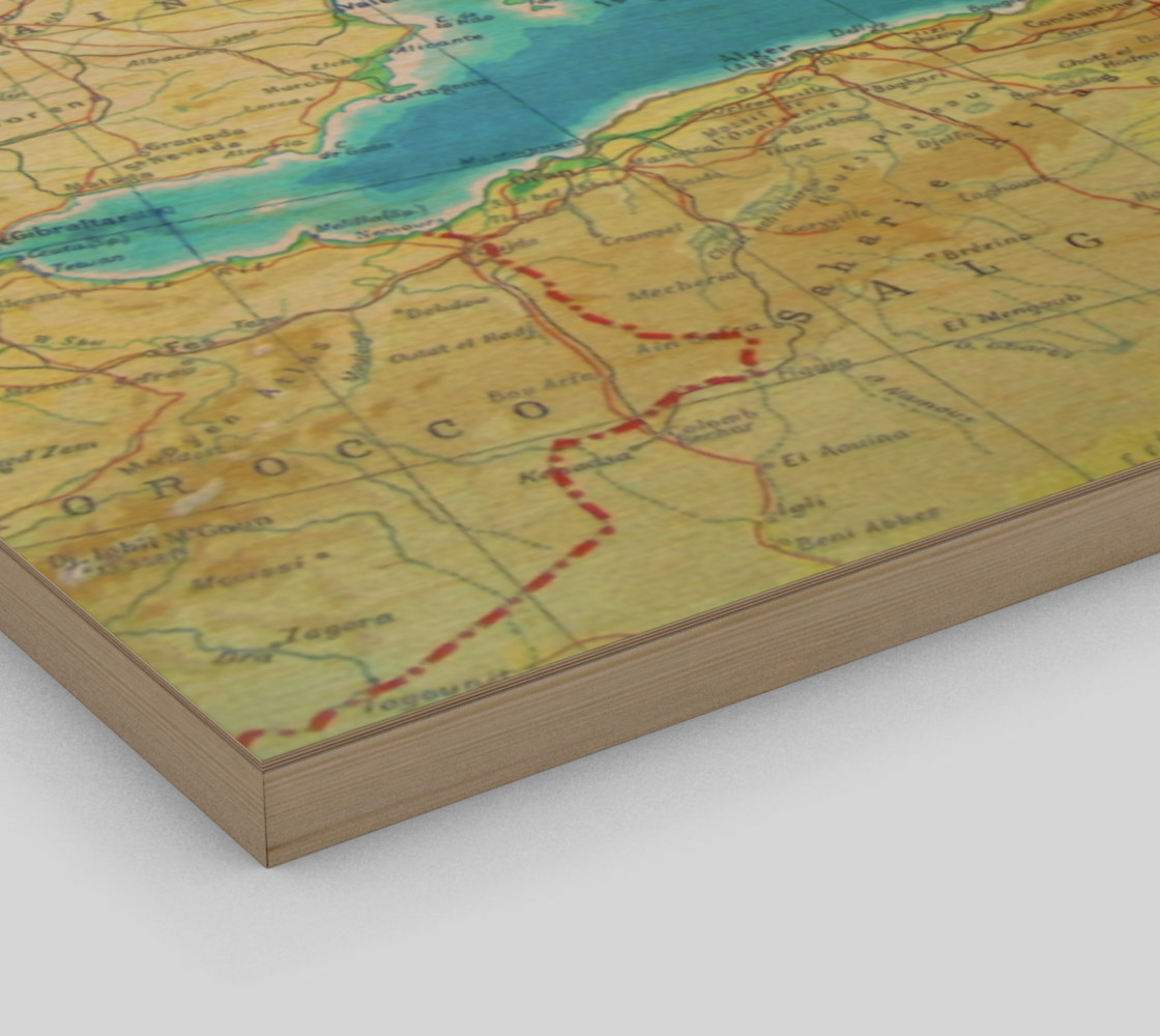 Vintage World Travel Map preview #3