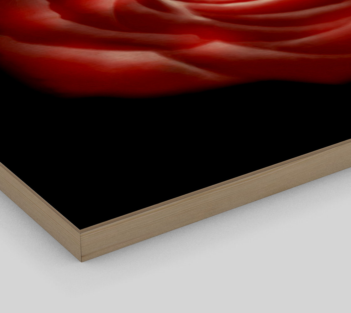 Aperçu de Glowing Rose Fine Art print by Tabz Jones #3