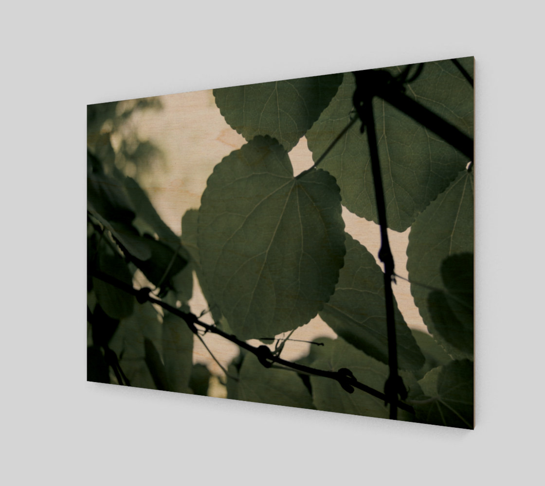 Green Leaves preview #1