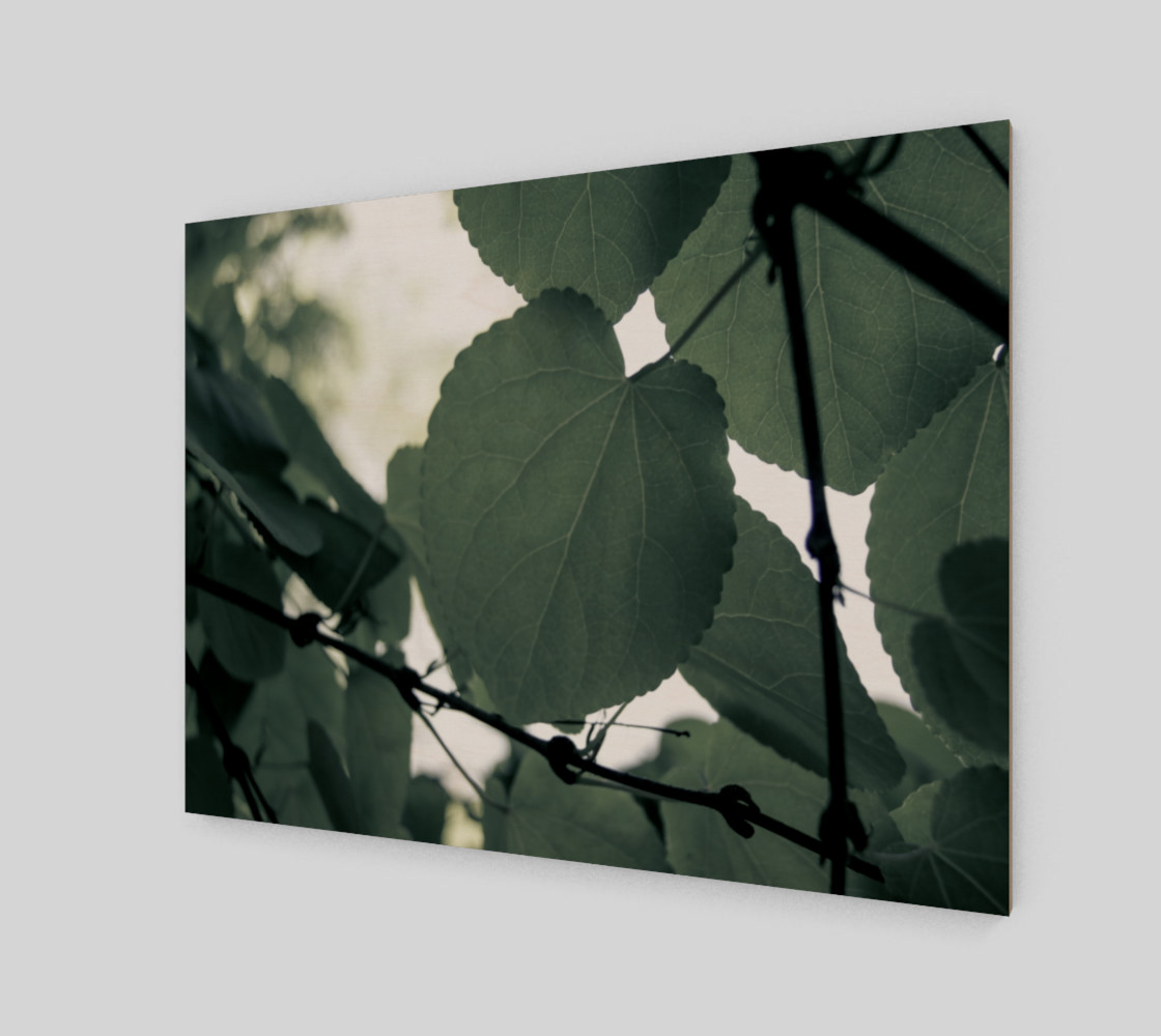 Green Leaves preview #2