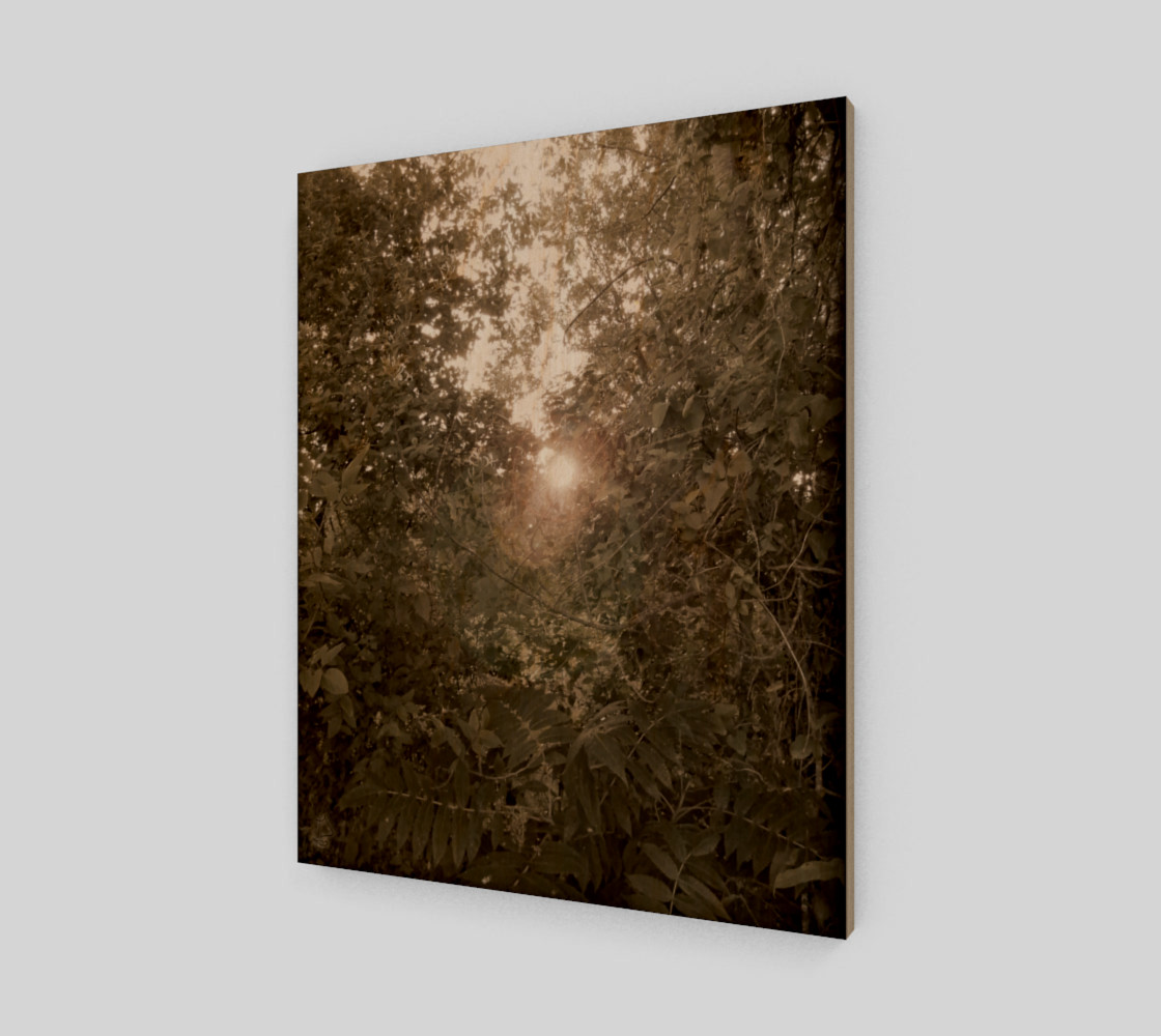 Sepia Morning Number 4 Art Print by Tabz Jones preview #1