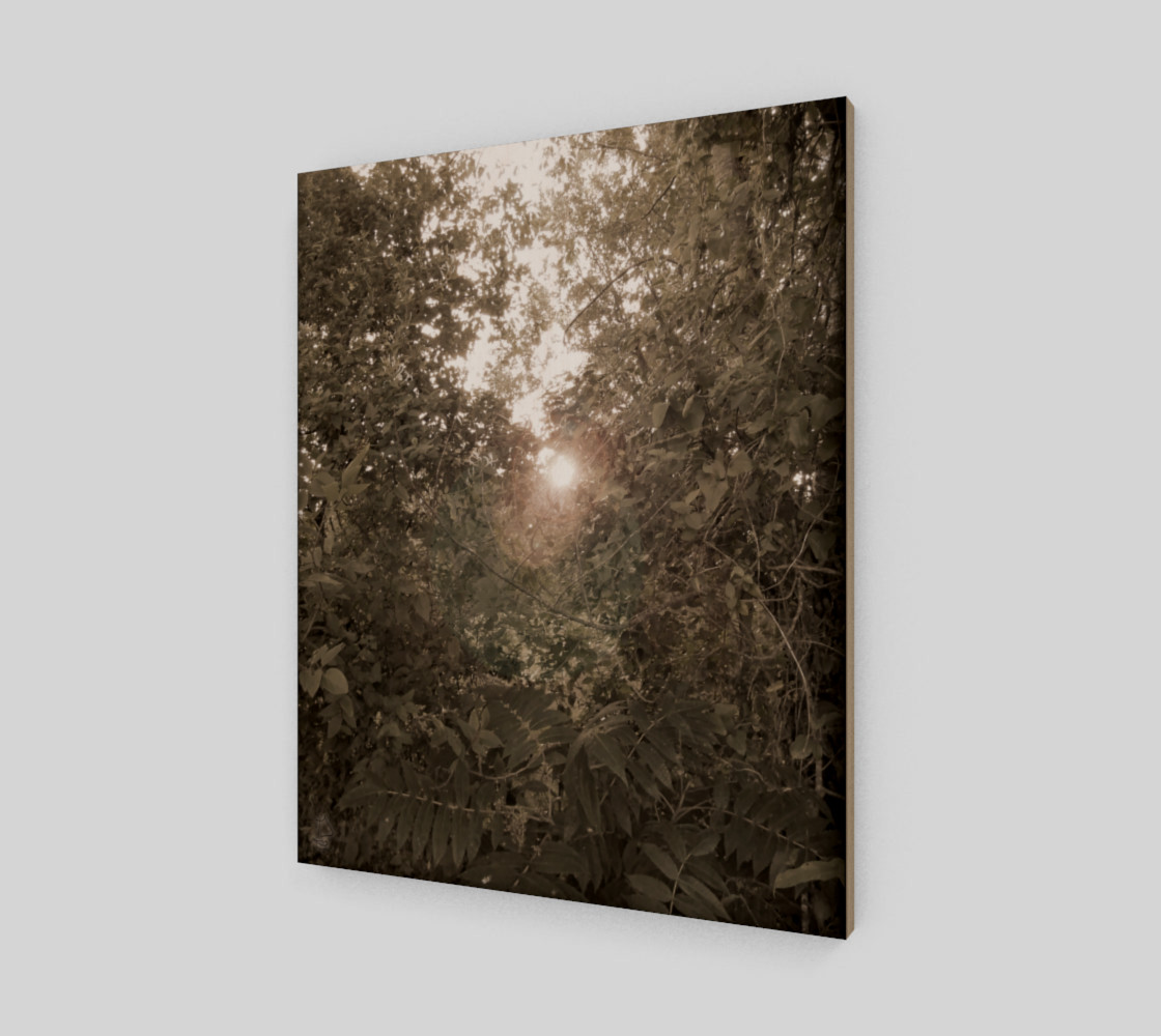 Sepia Morning Number 4 Art Print by Tabz Jones preview #2