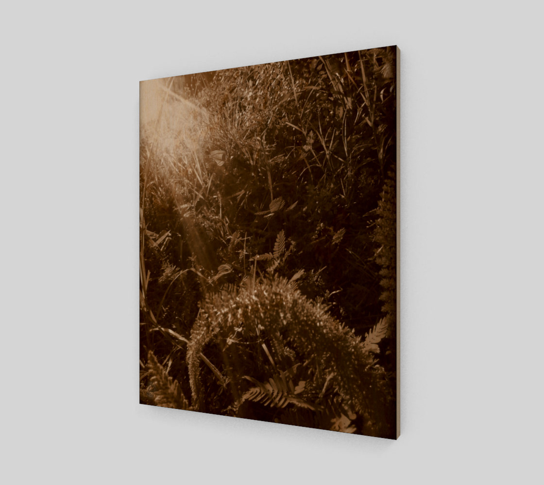 Sepia Morning Number 5 Art Print by Tabz Jones preview #1