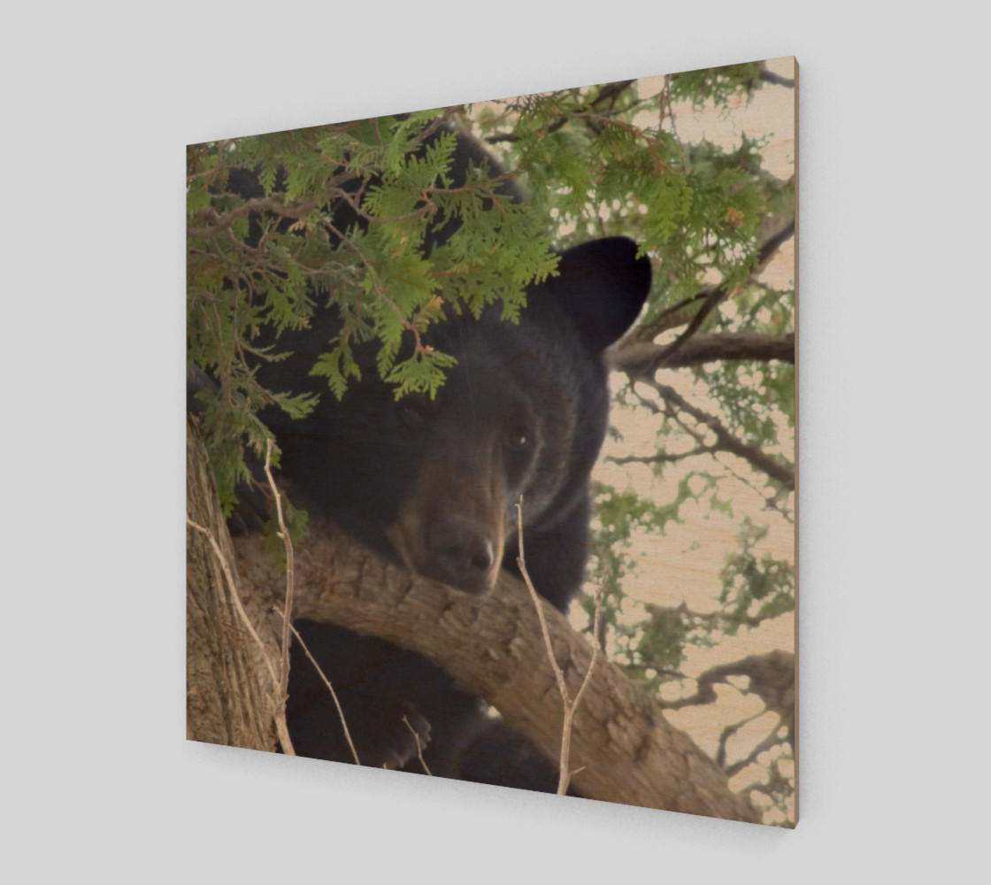 Bear Natural preview #1