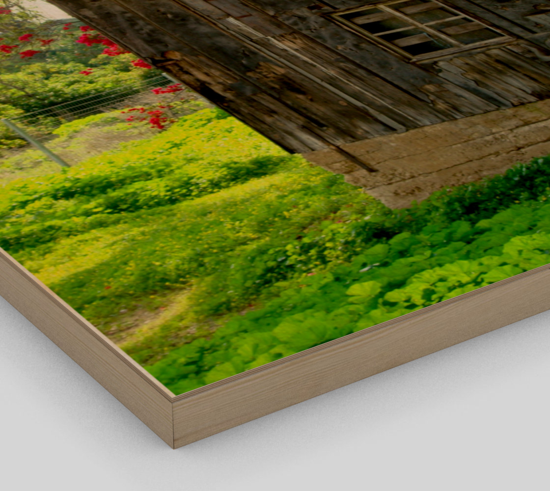 beautifulandold preview #3