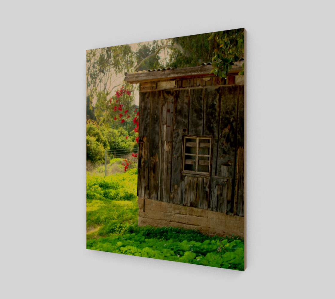 beautifulandold preview #1