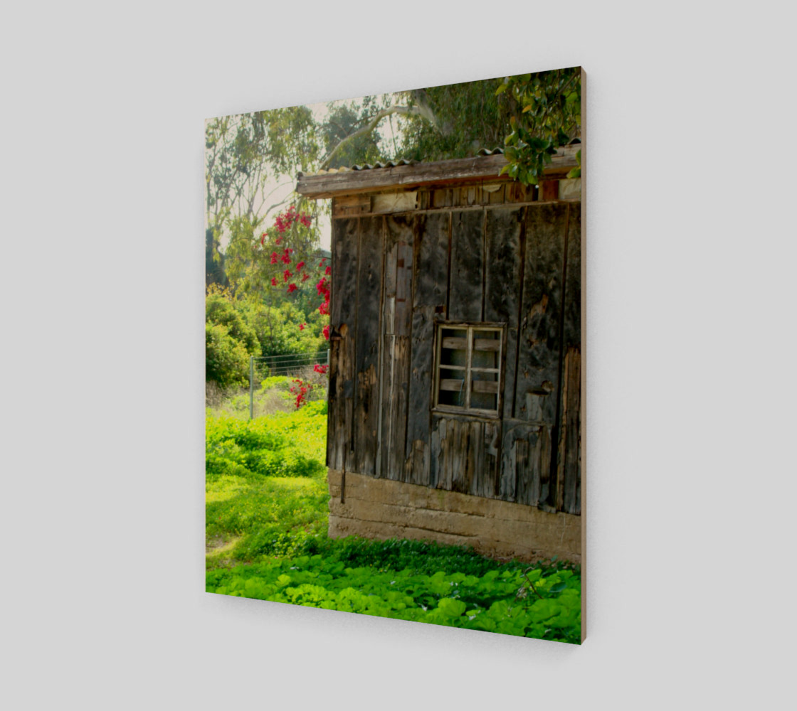 beautifulandold preview #2