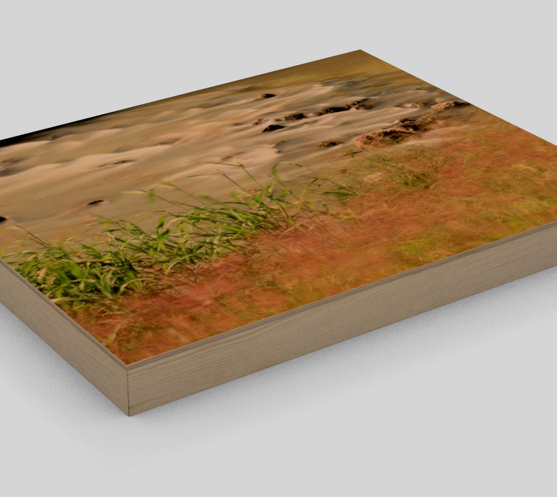Dancing Autumn Grass By The Silky River Bank preview #3