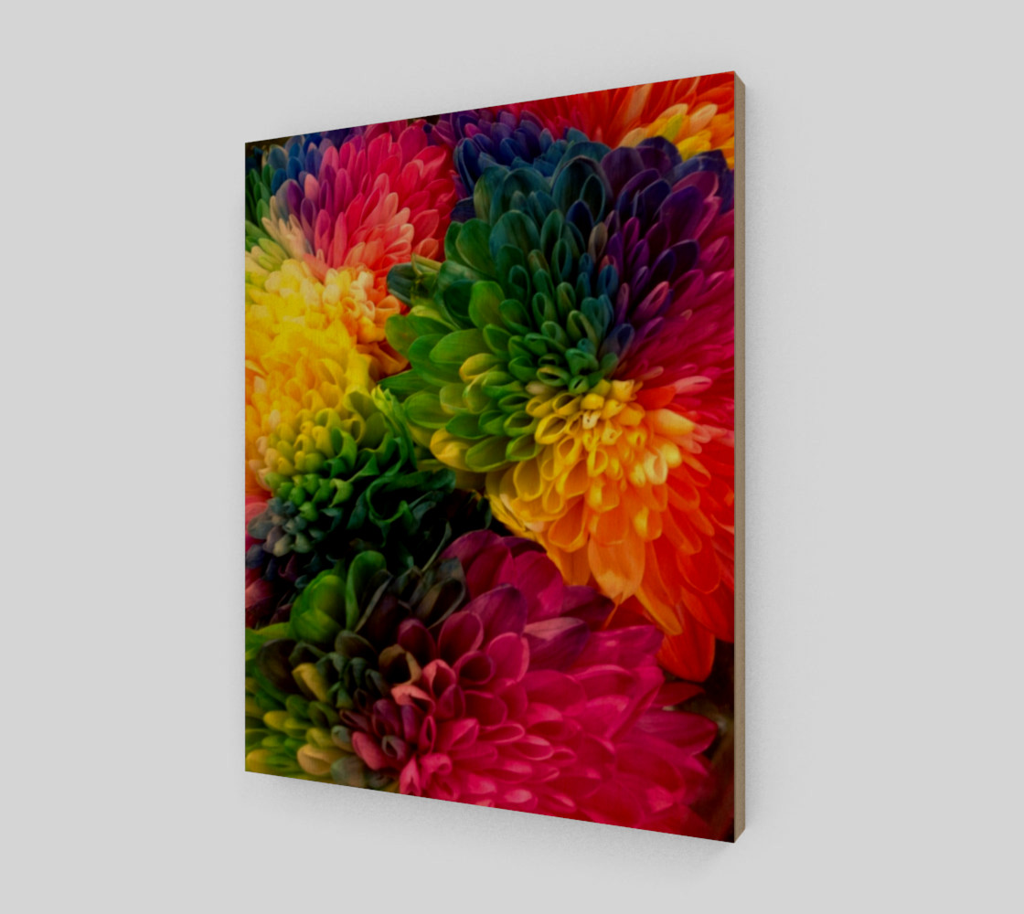 Rainbow Dahlias preview #1