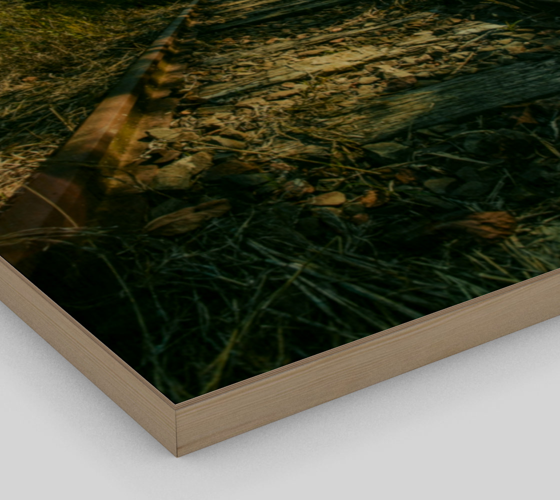 Abandoned preview #3