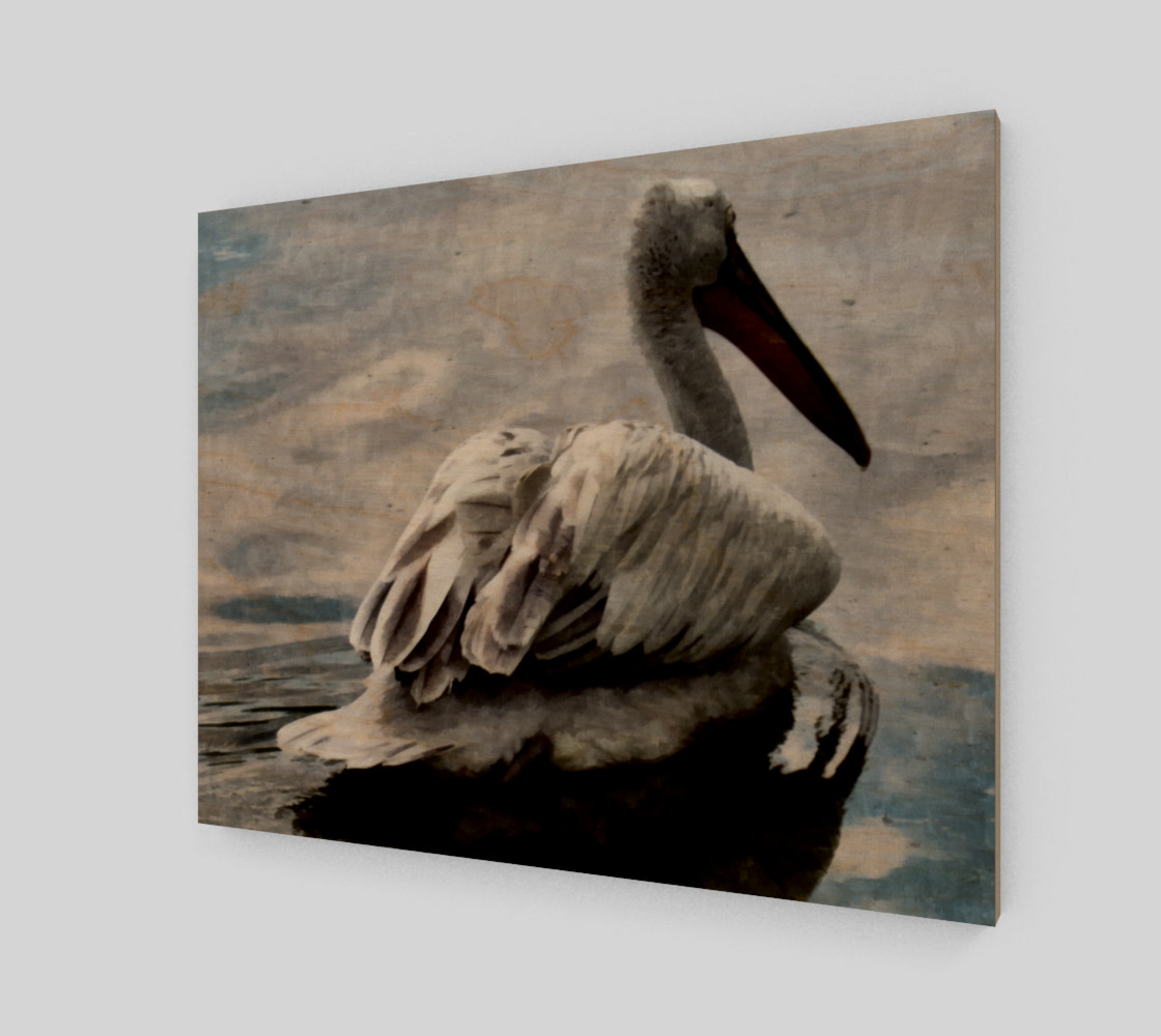 Lonley Pelican(20x16) preview #1