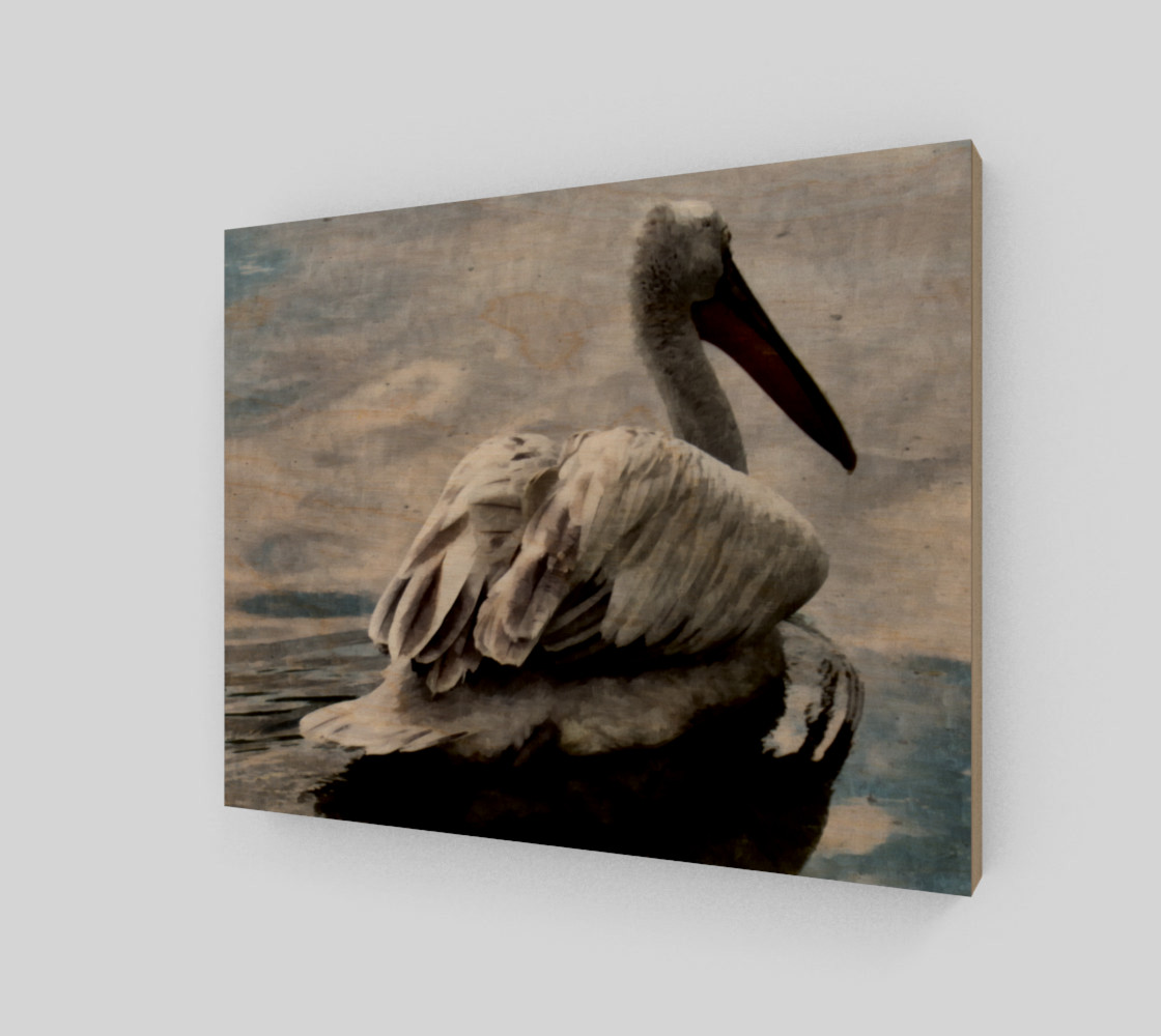 Aperçu de Lonley Pelican(10x8) #1