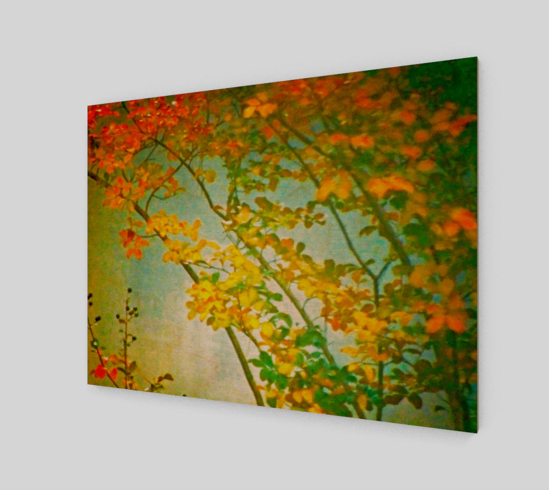 Autumn Fog preview #1