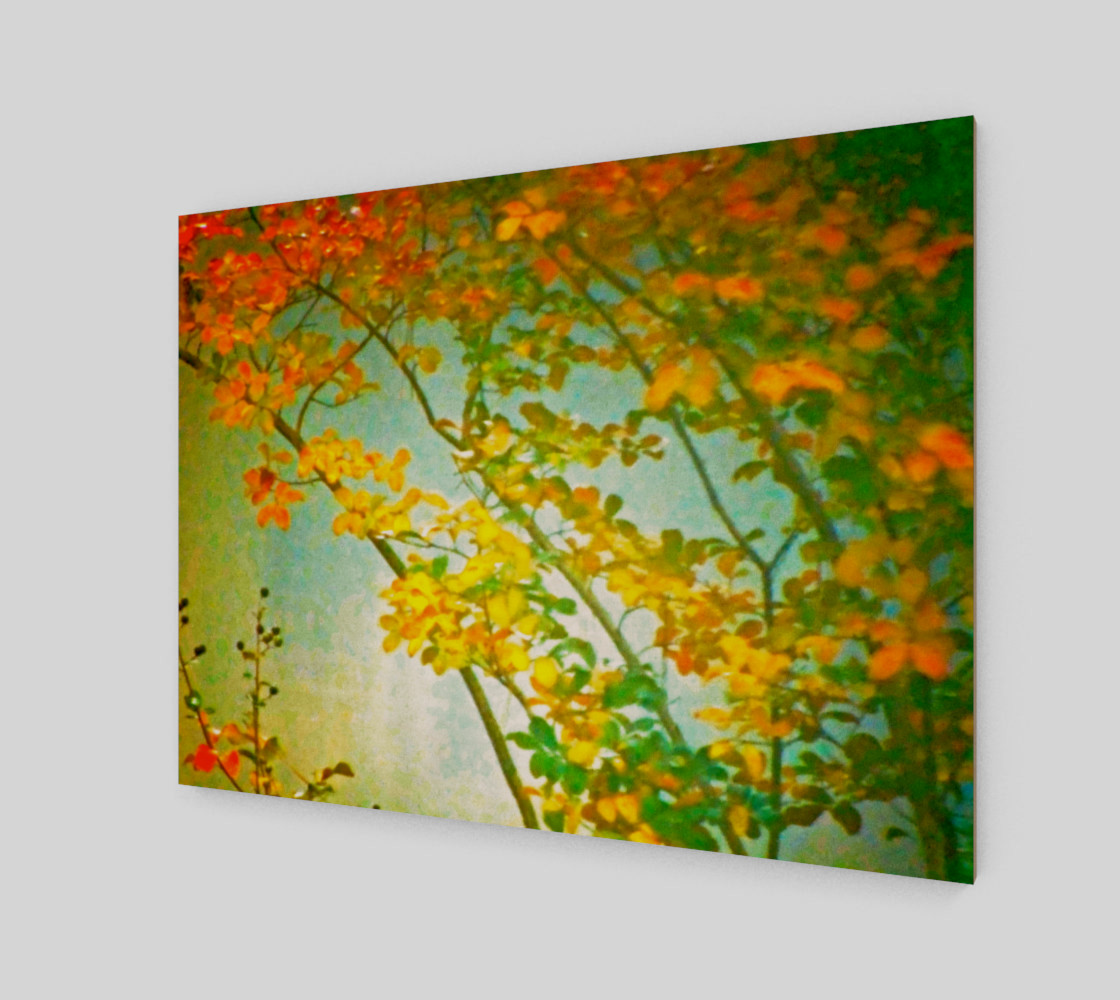 Autumn Fog preview #2