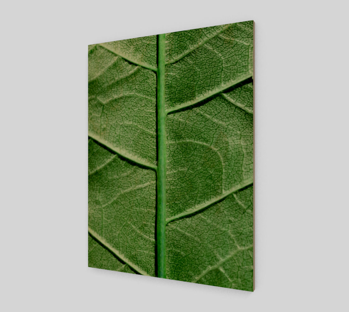 Aperçu de Veined Green Leaf #1