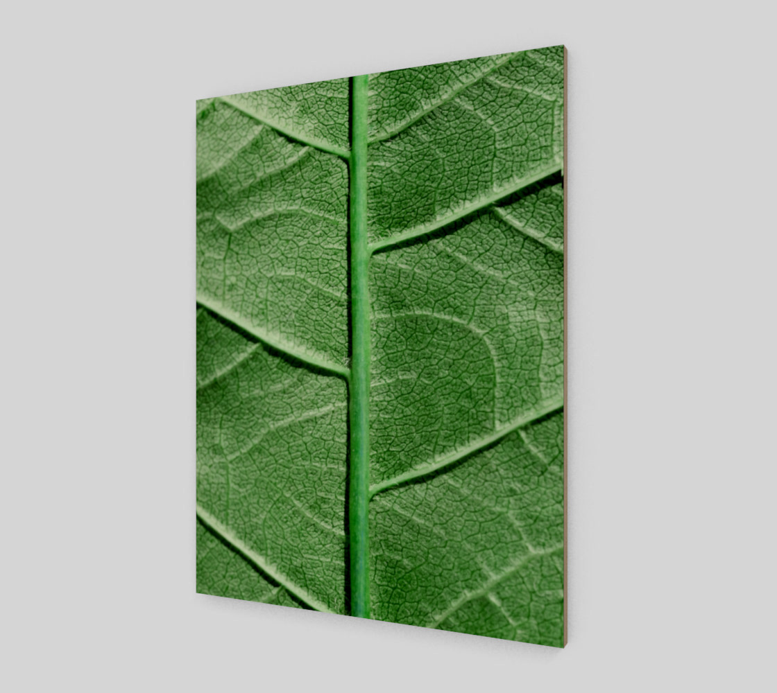 Aperçu de Veined Green Leaf #2